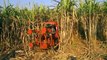 Mundo Asombroso de la Agricultura Moderna el Equipo de Mega Máquinas: Tractor, Cosechadora vs Primit