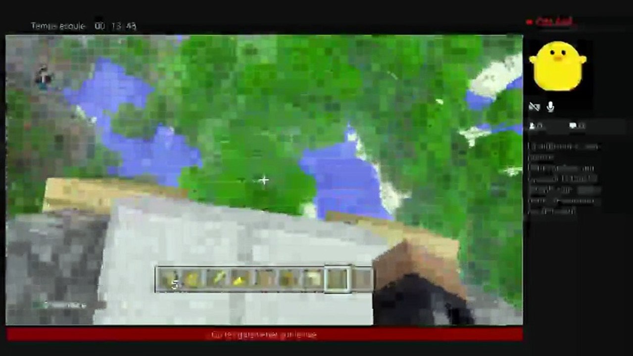 RP sur Minecraft (44)