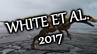 ACTUCRITIQUE 3 - MARCHE AVEC AUSTRALOVENATOR