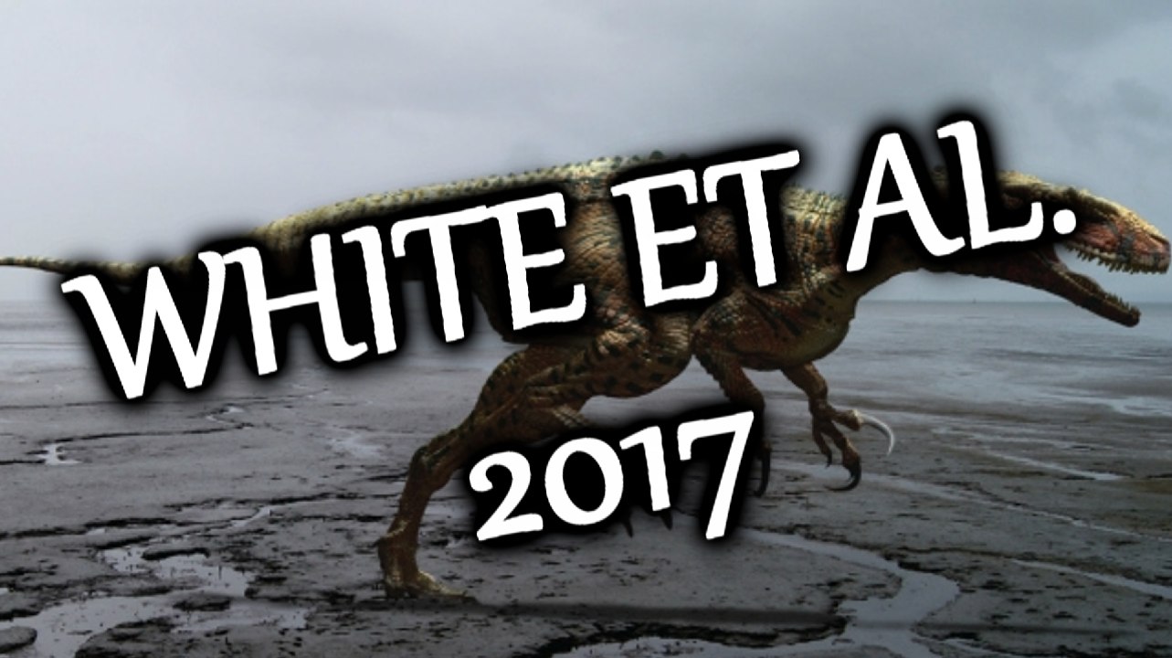 ACTUCRITIQUE 3 - MARCHE AVEC AUSTRALOVENATOR