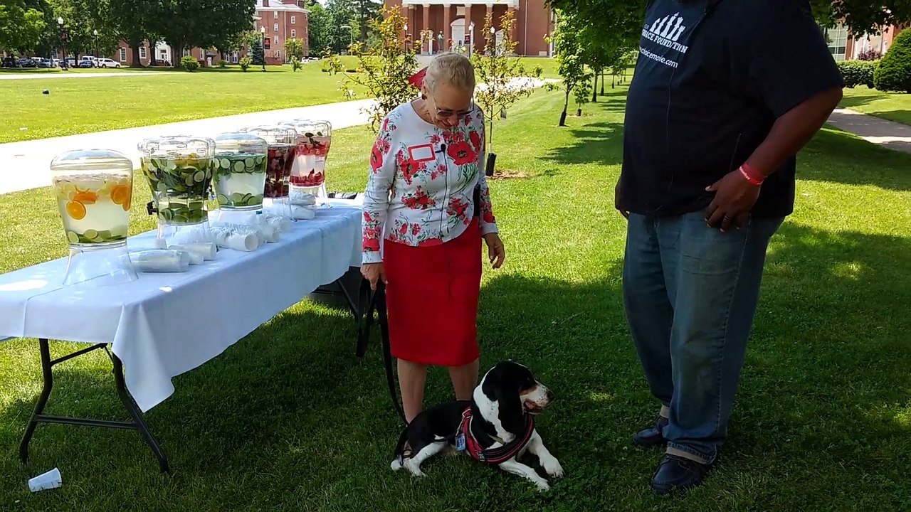 Rescued Hunting Dog is now living the Good Life