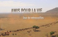 Retrouvailles. E01. Amis Pour La Vie.