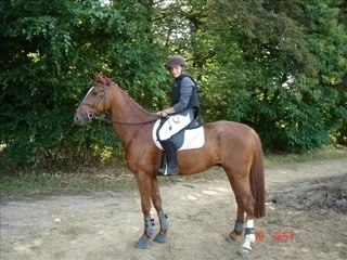 Léviathan je t'aime