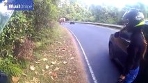 Thai biker has stand off with an ELEPHANT in the middle of the road Daily Mail O