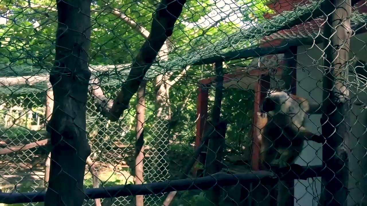 NOSY BE - MADAGASCAR HD