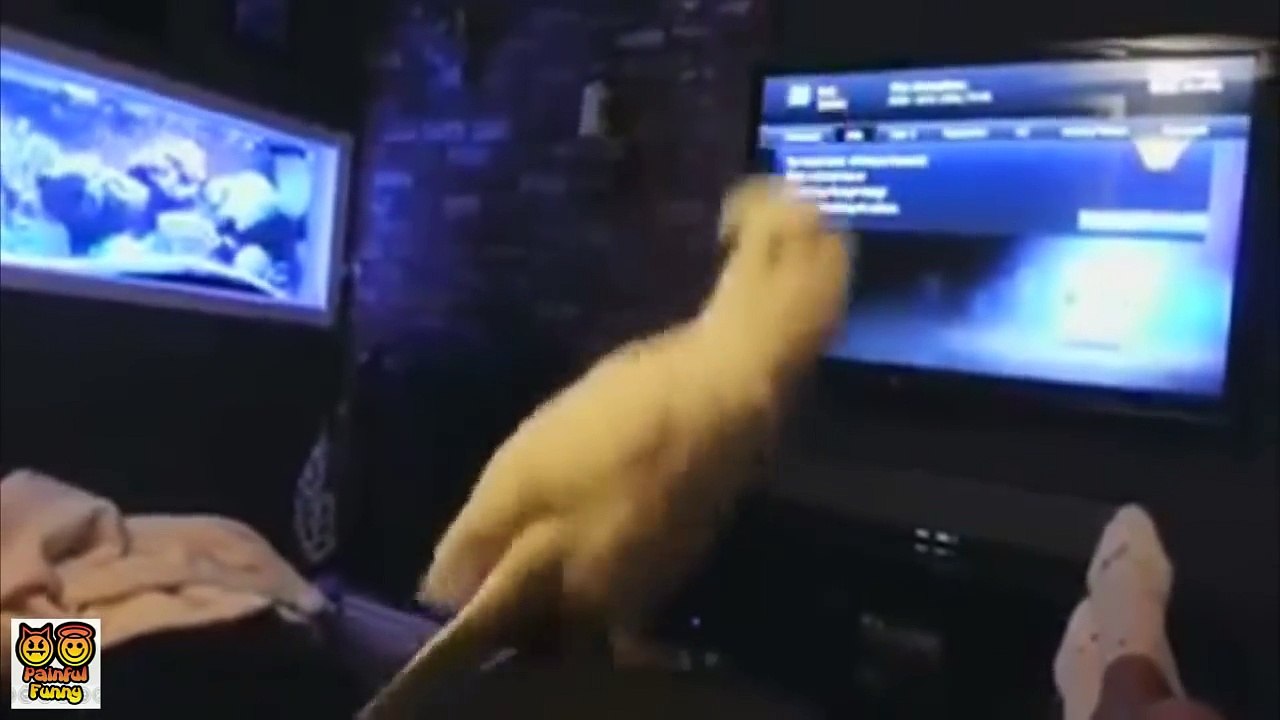 Painful and Funny Stuff 8