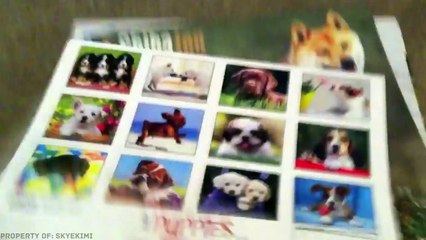 10 SIGNOS DE QUE ERES UN GENIO