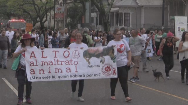 Presidente de Costa Rica firma ley contra el maltrato animal ante cientos de personas y mascotas