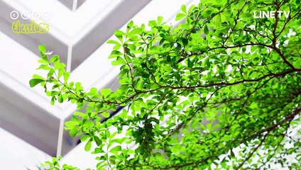 MAKE IT RIGHT 2 THE SERIES (SUB ESPAÑOL) THAI BL EP 06 (5-5)