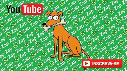 Vídeos Comédia do Zap Zap - Bicharada #2