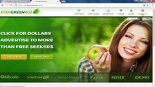 how_to_work_on_evergreenadz_com_in_urdu