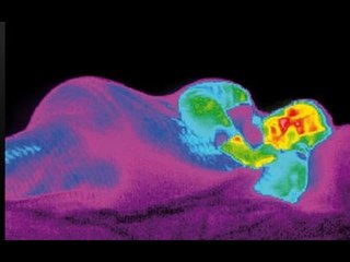 ¿Qué pasa con nuestro cuerpo mientras dormimos?