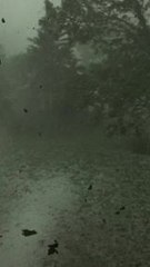 Hailstorm Pounds Twin Cities, Knocks Out Power