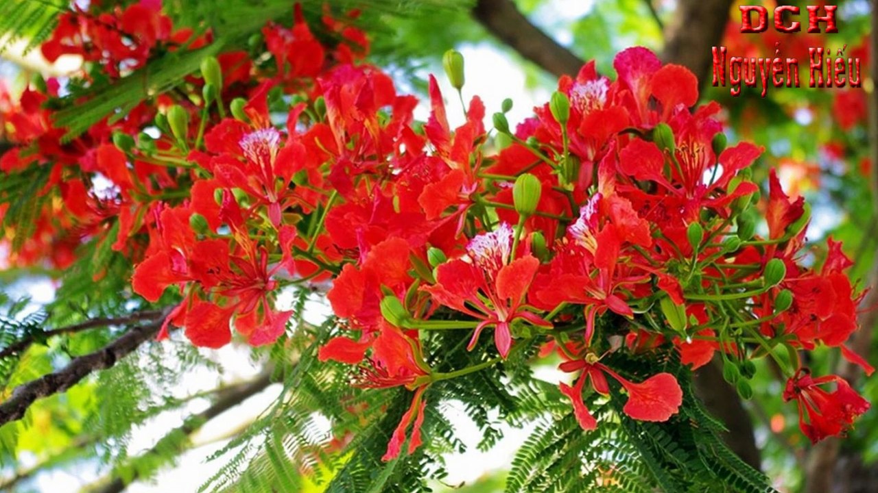 Nguyễn Hiếu, Cho Vay Sản Xuất, Kinh Doanh, Do, Ngân Hàng HDBank,