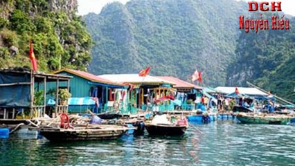 Nguyễn Hiếu,Cho vay, hỗ trợ chi phí du học, Tại, Ngân Hàng, BIDV,