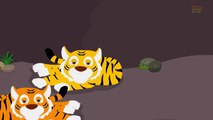 Five Big Tigers _ Tigers-D6nMOWXDssA