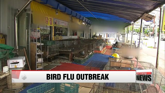 Government bans nationwide trade of live birds as AI virus spreads across Korea