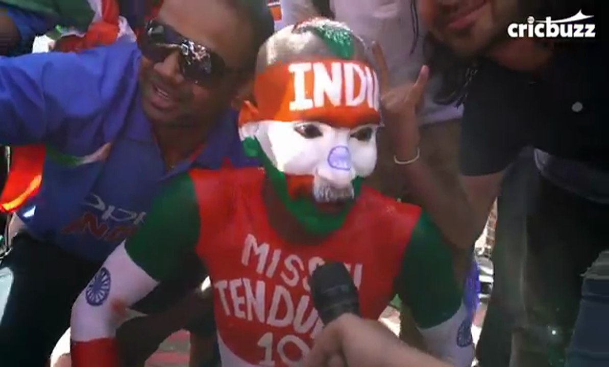 Fans at India vs South Africa game