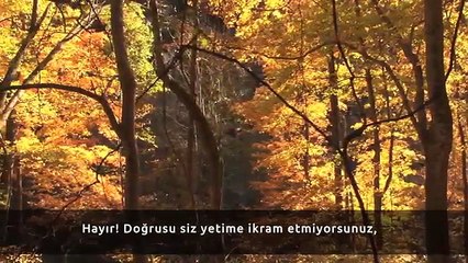 Genç Hafızdan Gözyaşlarınızı Tutamayacağınız Kur'an Tilaveti - Fecr Sûresi