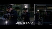 ブルーレイ&DVD『ファンタスティック・ビーストと魔法使いの旅』トレ�