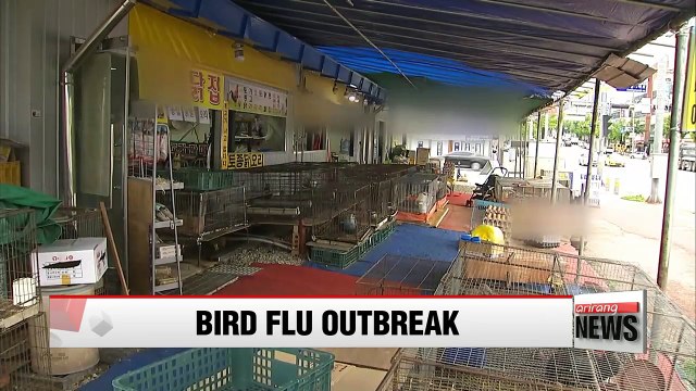 Government bans nationwide trade of live birds as AI virus spreads across Korea