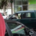 Dog 'caught' driving a car in Ponta do Sol