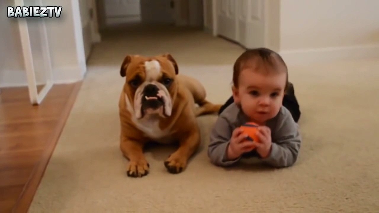 Cute Dogs and Babies Crawling Together - Adorable babies Compilation-IEEo5pIKeY0