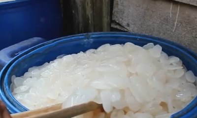 Yuk, Intip Pembuatan Kolang Kaling