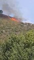 Corse-du-Sud : incendie sur la commune d'Alata
