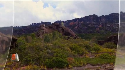 "A l'état sauvage" ce soir sur M6