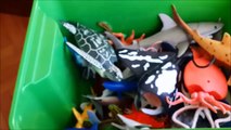 Shark Toys Kids Toy Box Sea Animals Toy Whaldfgres sea turtles caretta caretta turtles