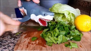 shark toy playing making saladgdr
