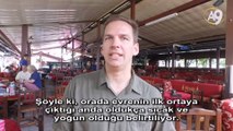 Evrende Mükemmel Bir Uyum Vardır