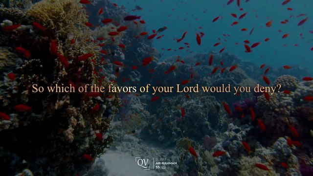 Al Quran Visualization Surat Ar-Rahman Sheikh Mishary Rashid Al Afasy سورة الرحمن - مشاري العفاسي #Quran #tilawat