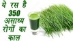 Wheat Grass Juice, ज्वारे का रस | 350 असाध्य रोगों का इलाज ये रस, जानिए बनाने की विधि | Boldsky