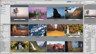 Photoshop Tutorials for Beginners