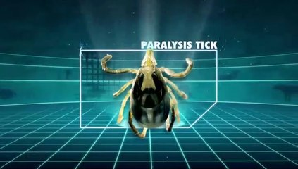 Belgesel - 72 Ölumcül Hayvan - 4 Küçük Canavarlar