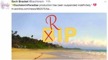 Bachelor In Paradise is Suspended and Fans Lose Their Minds on Twitter