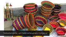 ÍNDIOS- Os nativos do Brasil        t_20170506_092728