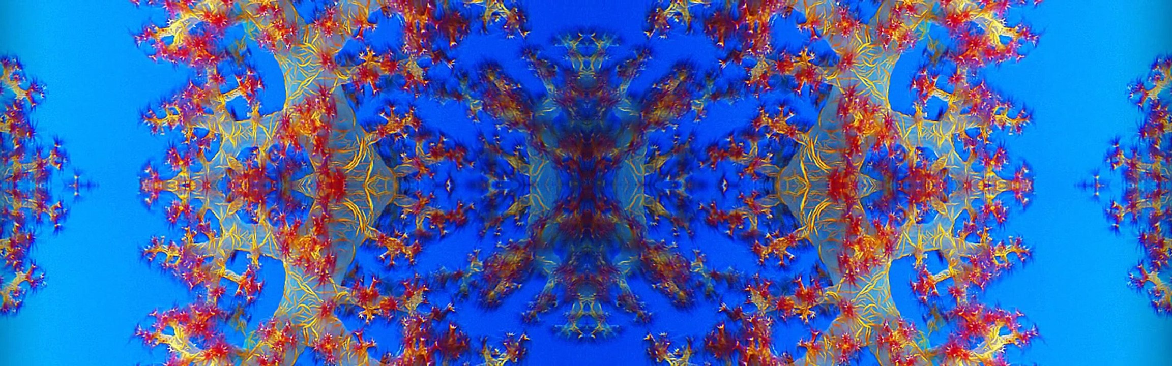 VITReAUX DE MER