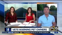 Veterinarians warning pet owners about dangers of leptospirosis