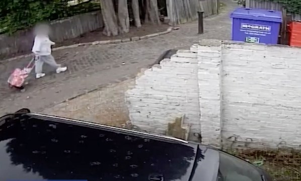 Thug Knocks Elderly Woman To Floor During Brutal Daylight Robbery