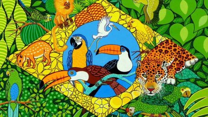 MOSAICOS TERRA BRASILIS    t_20170509_043304