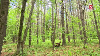 Zoom sur le "decluttering", l'art de désencombrer sa vie du superflu