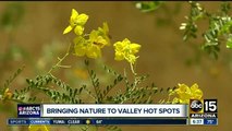 Nature Conservancy working on plan to cool Valley neighborhoods