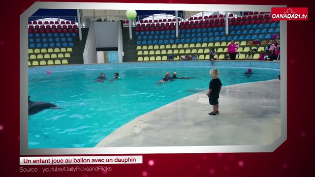 Un enfant joue au ballon avec un dauphin