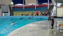 Un enfant joue au ballon avec un dauphin