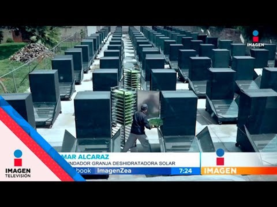 Así se dejan de emitir 6 toneladas de CO2  | Noticias con Francisco Zea