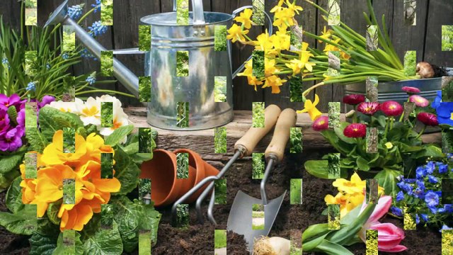 Tim's Outdoor Maintenance - (231) 751-9126