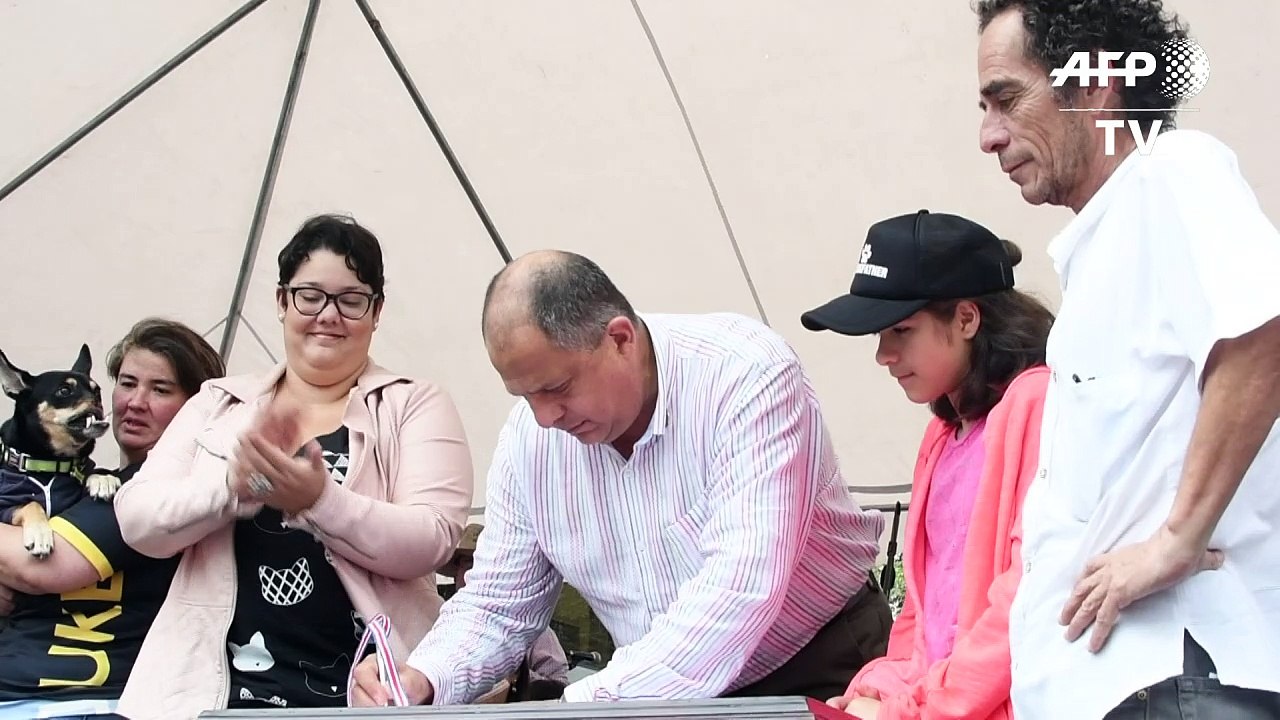 Costa Rica says no to animal cruelty video Dailymotion